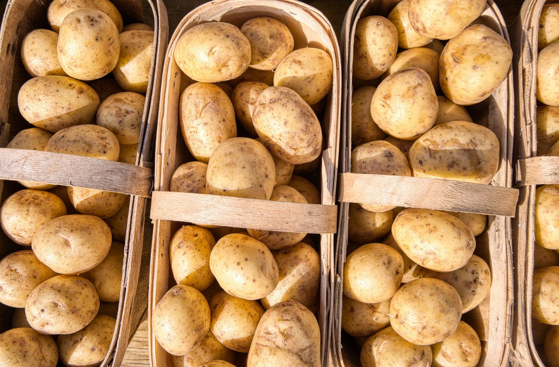 Mash your potatoes to perfection Zyliss UK