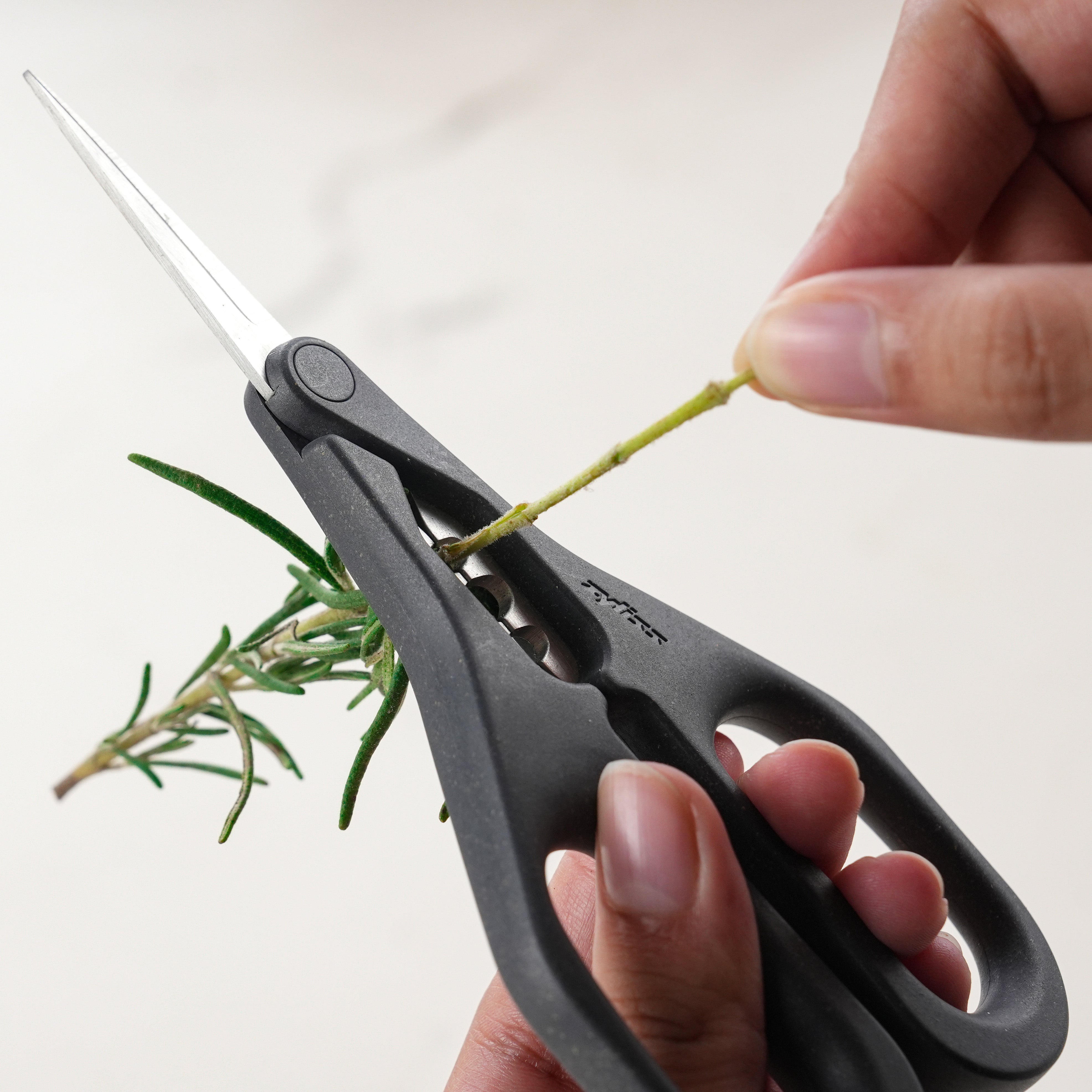 Zyliss Herb Snippers, Stainless Steel Blades, Eco Handle, Stem