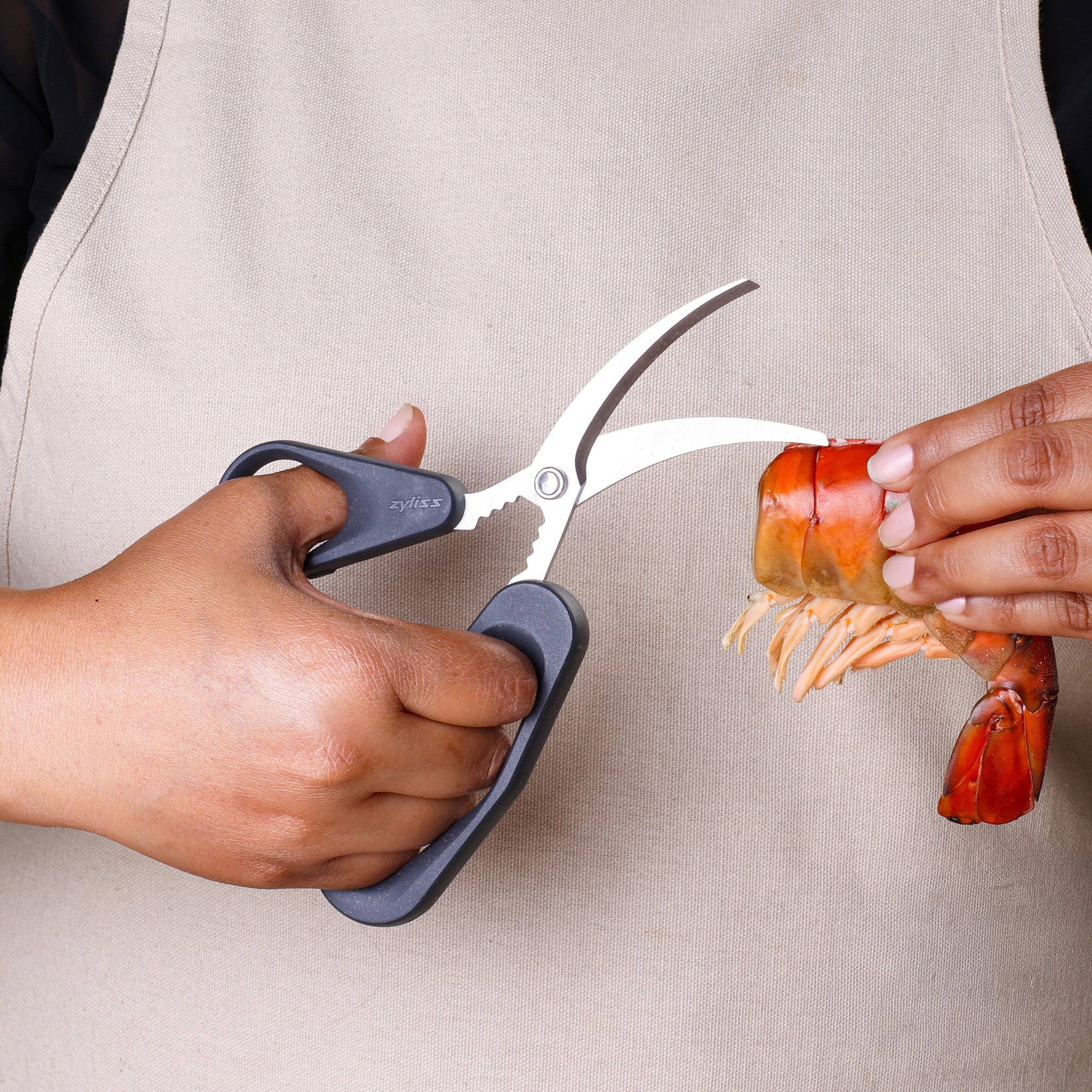 Zyliss Seafood Scissors, Stainless Steel with Shell Cracker, Eco