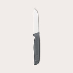 The Zyliss Vegetable Knife 9cm (3½) features a straight, narrow silver blade and a dark gray eco-friendly handle, ideal for precision cutting, shown on a plain light background. 